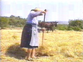 CAMPO - (98)